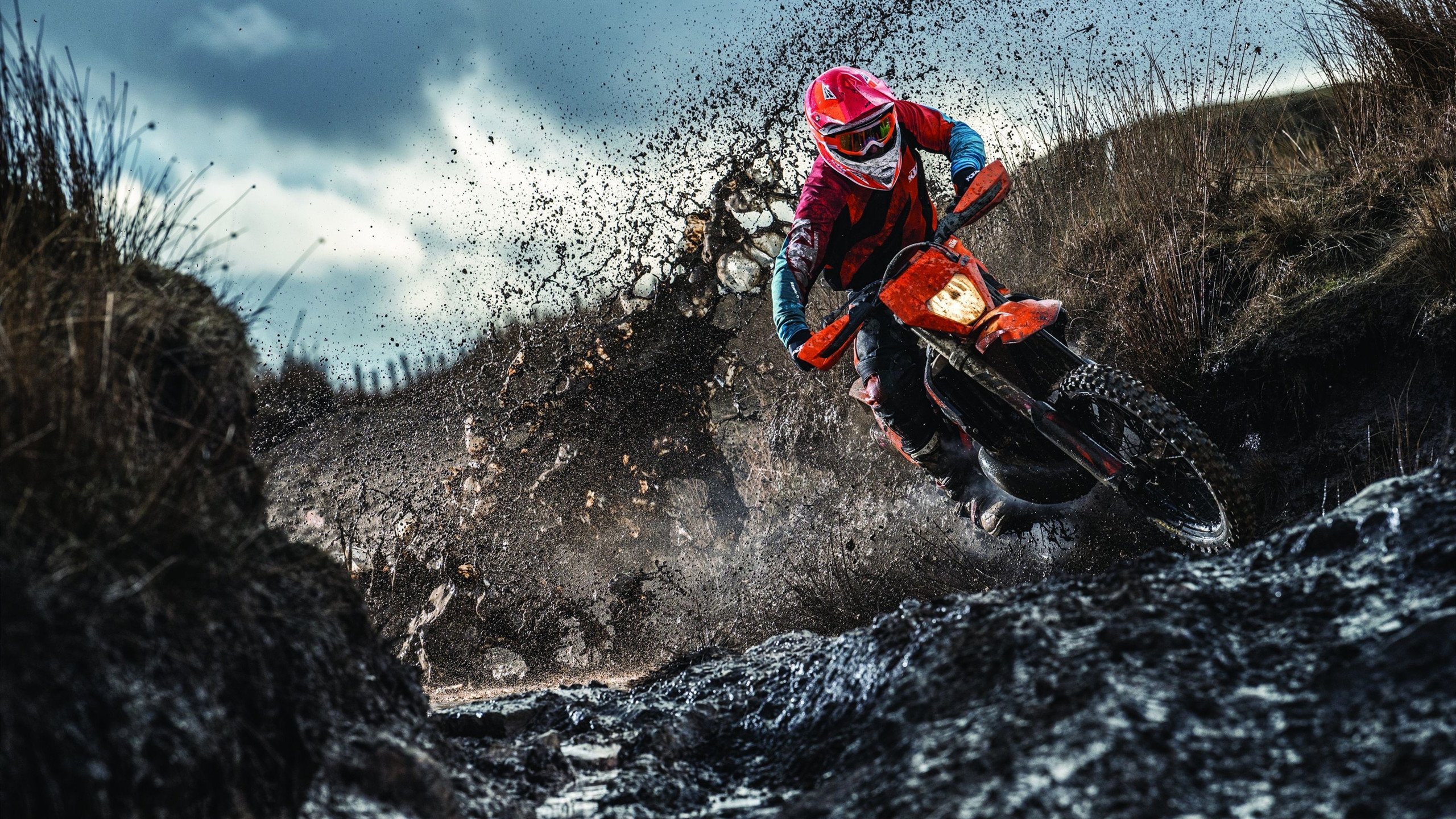 FB体育赛事-法比尼奥的统治力，阿尔及利亚如何以连续得分压制威尔士